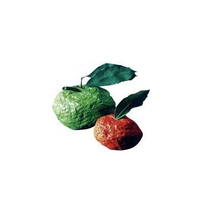 PQ 1 KG POUDR PAPIER MACHE DAS