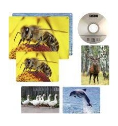 IMAGIER SONORE DES ANIMAUX 2