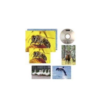 IMAGIER SONORE DES ANIMAUX