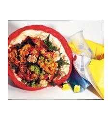 PQ 26F PAPIER SOIE 50X70CM BLC