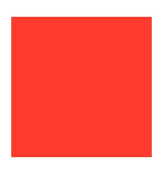 BIC CRISTAL PM ROUGE 2