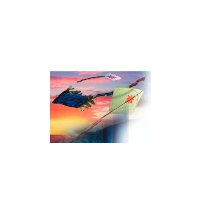 RL 24F PAPIER SOIE 50X75CM ASS