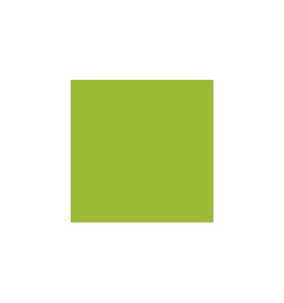 AGRAFEUSE PINCE 5531 15F VERT