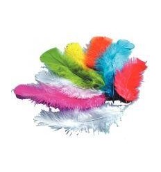 SACHET 25G PLUMES DINDE C.ASS