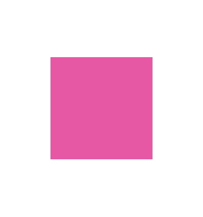 AGRAFEUSE PINCE 5531 ROSE 15F