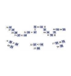 DOMINO 24PCS SOMMES DE 100 2