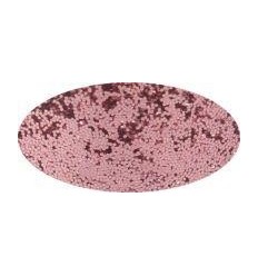 SALIERE 100G POUDRE GLITER ROS 2