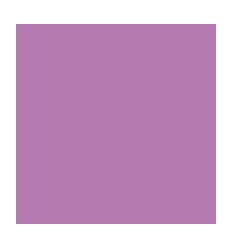 PQ 30 P CAH 10/100E 17X22 ROSE 2
