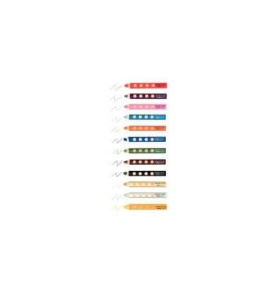 ETUI 12 CRAY COULEUR GR MODULE