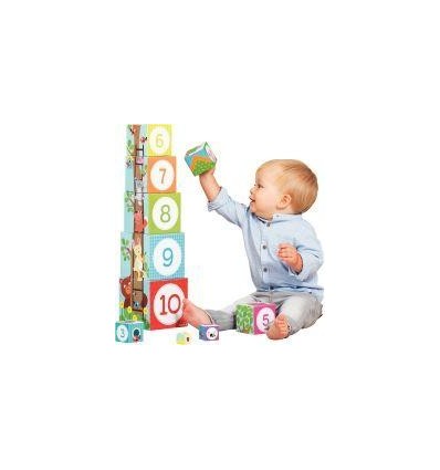 PYRAMIDE 10 CUBES ANIMO FORET