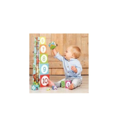 PYRAMIDE 10 CUBES ANIMO FORET