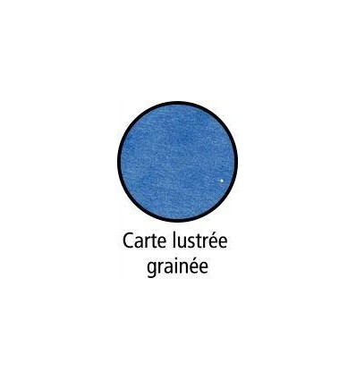 BTE CARTE GRAINEE DOS60MM BLEU