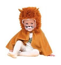 ASSORTIMENT 12 DEGUISEMENTS 2