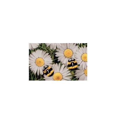 BTE 20 ABEILLES A COMPTER