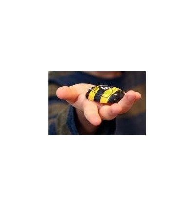 BTE 20 ABEILLES A COMPTER