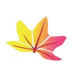 POCH 958 GOMMETTES FEUILLES AS 2