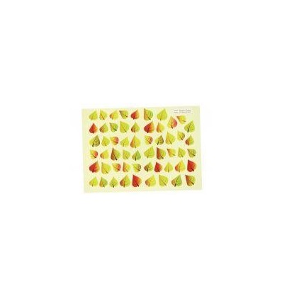 POCH 958 GOMMETTES FEUILLES AS