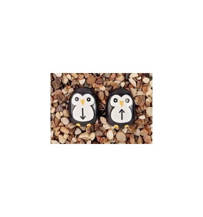 BTE 18 PINGOUIN DE CODAGE