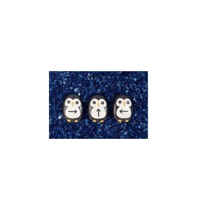 BTE 18 PINGOUIN DE CODAGE