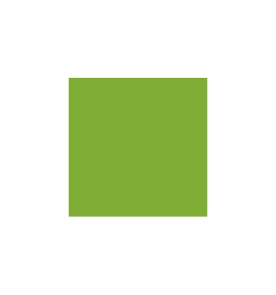 FL 1L GOUACHE LIQ VRT PRINTEMP