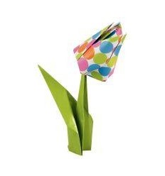 POCH 60F ORIGAMI BUBBLES 20X20 2