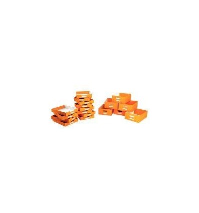 LOT 6 BACS CARTON GM ORANGE
