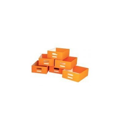 LOT 6 BACS CARTON GM ORANGE