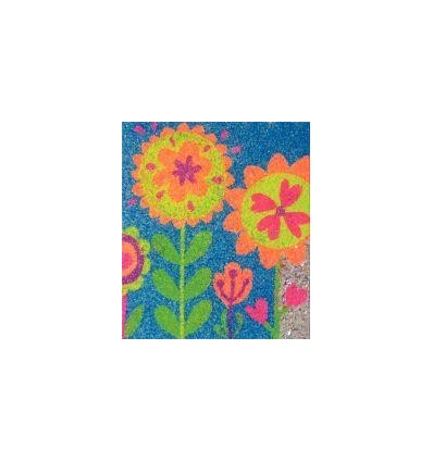 LOT 6 SALIERES POUDRE FLUO 45G