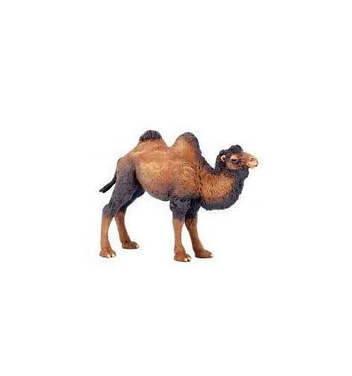 LOT 8 ANIMAUX DU ZOO