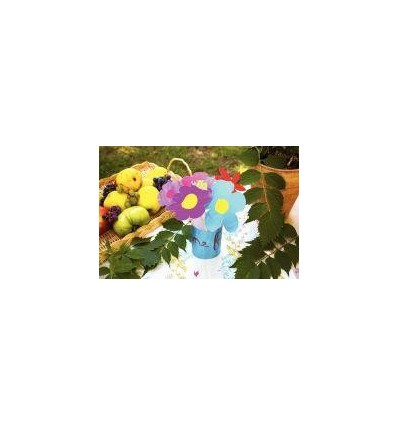 KIT DECOUV 16F 150ML ACRYL