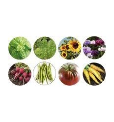 LOT 50 SACHETS DE GRAINE BIO 2