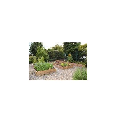 LOT 50 SACHETS DE GRAINE BIO