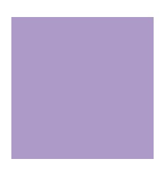 CLAS A LEVIER A4 PP DOS5 LILAS 2