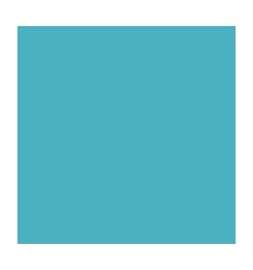 CLAS A LEVIER A4 PP DOS5 VRT C 2