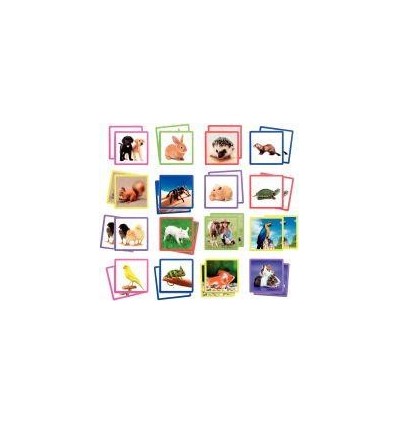 MAXI MEMO ANIMAUX DE COMPAGNIE