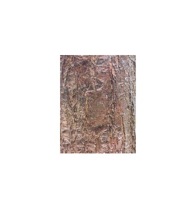 POCH 32F PAP A4 8MOTIF ECORCE