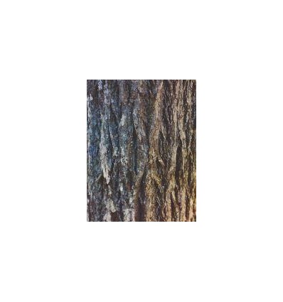 POCH 32F PAP A4 8MOTIF ECORCE