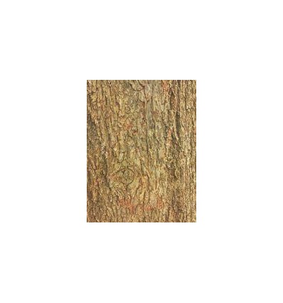 POCH 32F PAP A4 8MOTIF ECORCE