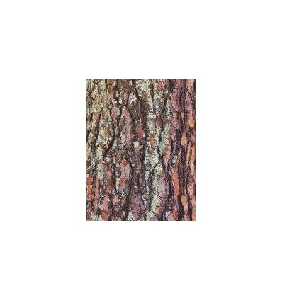 POCH 32F PAP A4 8MOTIF ECORCE