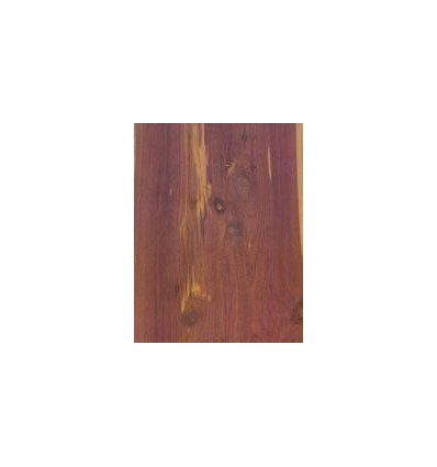 POCH 32F PAP A4 8MOTIF ECORCE