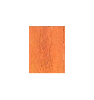 POCH 32F PAP A4 8MOTIF ECORCE