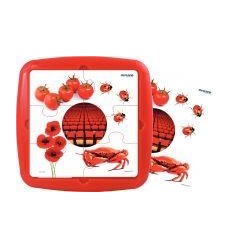 LOT 4 PUZZLE CADRE 6P COULEURS 2