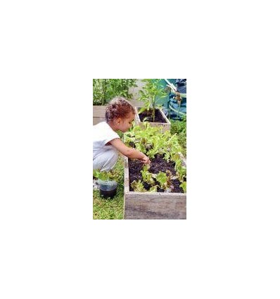 CRT 30SACH GRAINE LEGUMES BIO