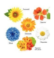 ASS. 30 SACHETS GRAINES FLEURS 2