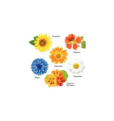 ASS. 30 SACHETS GRAINES FLEURS