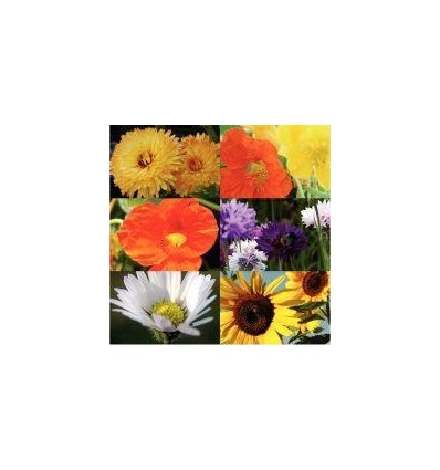 ASS. 30 SACHETS GRAINES FLEURS