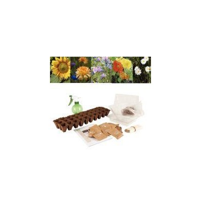 ASS. 30 SACHETS GRAINES FLEURS