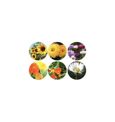 ASS. 30 SACHETS GRAINES FLEURS