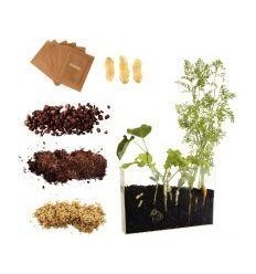 VISIO NATURE RACINE ET LOMBRIC