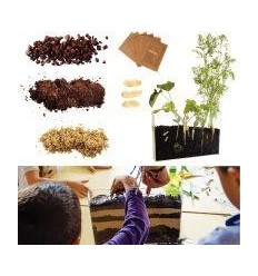 VISIO NATURE RACINE ET LOMBRIC 2